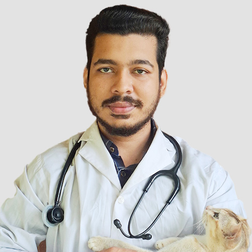 Dr. Hasanul Haque Emon