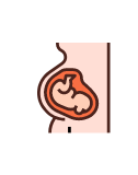 Obstetrics