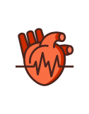 Vascular Surgery