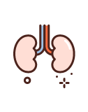 Nephrology